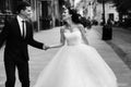 Wind blows bride`s dark hair while groom holds her hand Royalty Free Stock Photo