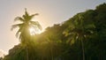 The wind blows the coconut tree. The flyers are light from the sun, seeping through the coconut leaves..In summer in Thailand