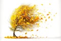 wind blows yellow leaves during autumn leaf fall isolated on white background Royalty Free Stock Photo