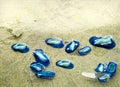 By-the-WInd Blue Sailors aka Velella velella jellyfish