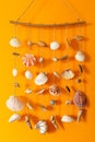 A wind chime with shells