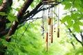 wind chimes gently hanging from a tree branch Royalty Free Stock Photo