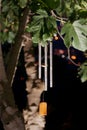 Wind chimes at night Royalty Free Stock Photo