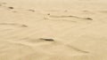 Wind is covering the tracks in the sand Royalty Free Stock Photo