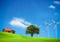 Wind ecology