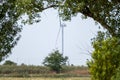 Wind electro generators through green tree branch