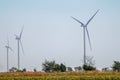 Wind electro generators standing in yellow field