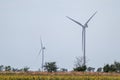 Wind electro generators standing in yellow field