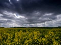 Wind energy field with fantastic dramatic sky