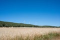 Wind energy generation near crop fields in Guadalajara, Spain. Renowable energy