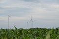 Wind energy.Wind turbines in a corn field. Alternative energy sources. Royalty Free Stock Photo