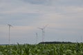 Wind energy.Wind turbines in a corn field. energy sources. Royalty Free Stock Photo