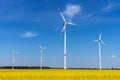 Wind energy turbines and a flowering canola field Royalty Free Stock Photo