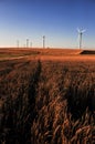 Wind energy turbines on wheat planting area Royalty Free Stock Photo