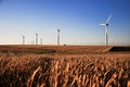 Wind energy turbines on wheat planting area Royalty Free Stock Photo