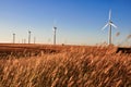 Wind energy turbines on wheat planting area Royalty Free Stock Photo