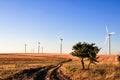 Wind energy turbines on wheat planting area Royalty Free Stock Photo