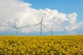Wind Energy Turbines On Yellow Field