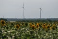 Wind farm Royalty Free Stock Photo