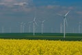 Wind farm and or canola field. Spring flowers background Royalty Free Stock Photo