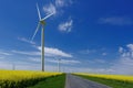 Wind farm and or canola field. Spring flowers background and blue sky Royalty Free Stock Photo
