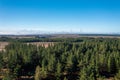 wind farm, chile. renewable energy, save the planet, forest, drone view Royalty Free Stock Photo