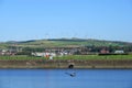 Wind turbines on hill above town