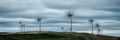 Wind farm in Ireland Royalty Free Stock Photo