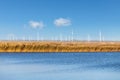 Wind farm by the lake