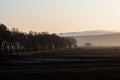 Wind farm landscape. At sunrise Royalty Free Stock Photo