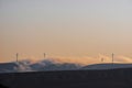 Wind farm landscape. At sunrise Royalty Free Stock Photo