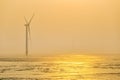 Wind farm in mist early morning Royalty Free Stock Photo