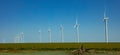 Wind turbines, renewable energy on a green field, spring day. Wind farm, New Mexico, USA Royalty Free Stock Photo