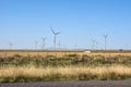 Wind farm in the plain