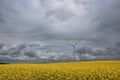 WIND FARM IN SEED FIELD Royalty Free Stock Photo