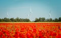 Wind farm in red poppies field. Wind generators turbines. Renewable energies and sustainable resources. People and