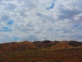 Wind farm, view of hundreds of wind trubines in mountainous fields in California.