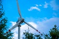 wind farm, windmill. electric generator. clean ecological renewable energy