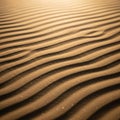 Wind-formed sand ripples create rhythmic patterns Royalty Free Stock Photo
