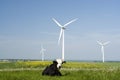 Wind generators and cow Royalty Free Stock Photo
