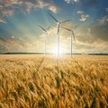Wind generators turbines on wheat field Royalty Free Stock Photo