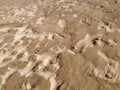 Intricate wind-blown sand patterns on the surface of a dune