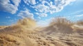 The wind howls mournfully picking up stray grains of sand and hurling them against anything in its path Royalty Free Stock Photo