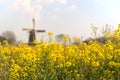 Wind mill in Dutch village Royalty Free Stock Photo