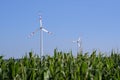 Wind mill farm in agricultural land