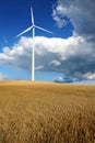 Wind Mill with field of Barley Royalty Free Stock Photo