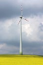 Wind mill in the midle of agriculture field Royalty Free Stock Photo