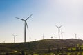 Wind mills during bright summer day Royalty Free Stock Photo