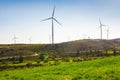 Wind mills during bright summer day Royalty Free Stock Photo