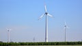 Wind mills during bright summer day Royalty Free Stock Photo